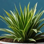 Compliance: Proteja seu negócio e evite bloqueios