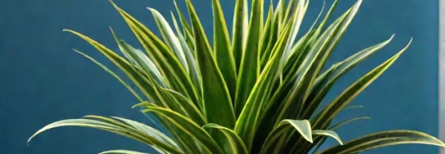 0 90475e17 a8f5 4b44 9c25 be58458ffd2f 1000x600