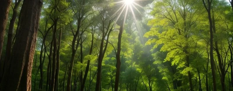 0 f58cb189 cf62 401b 990e f42d2df92c44 800x800